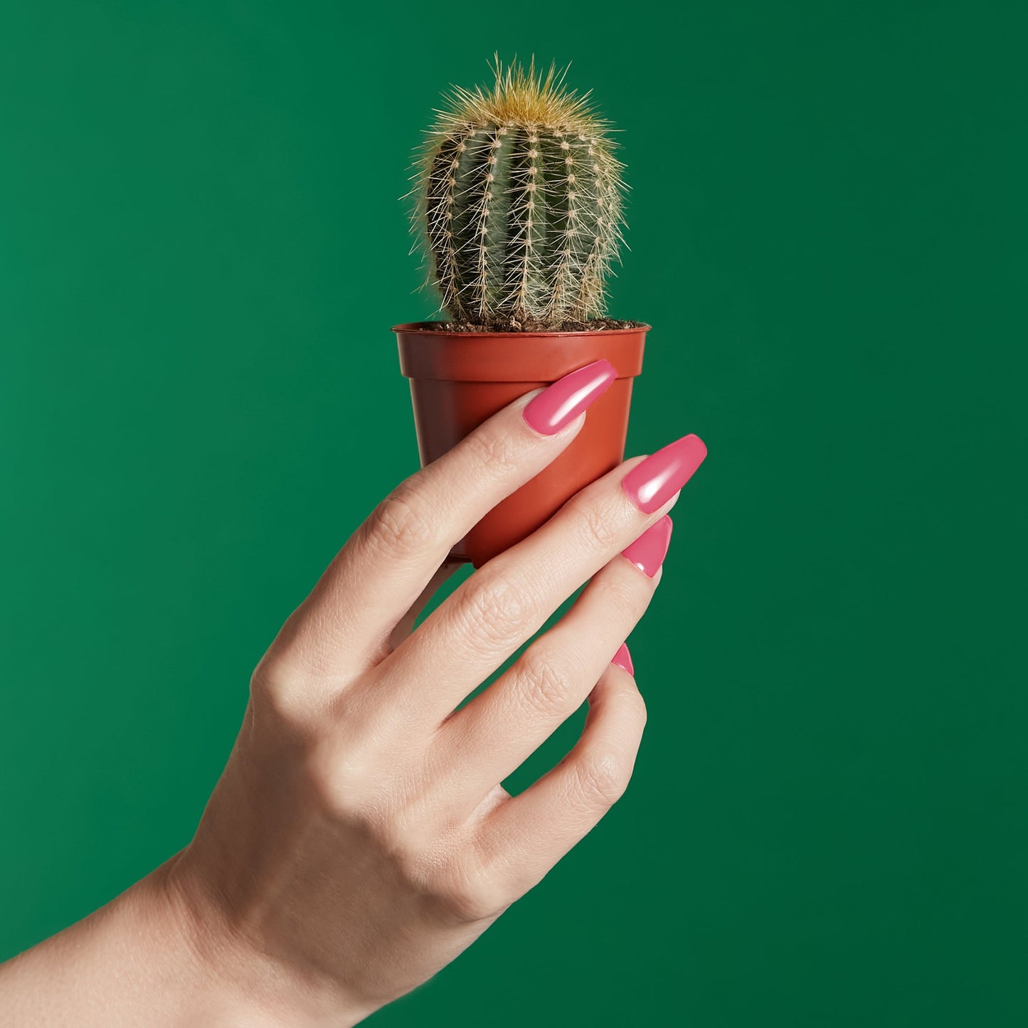 Mylee Gel Polish - Beyond Perfect