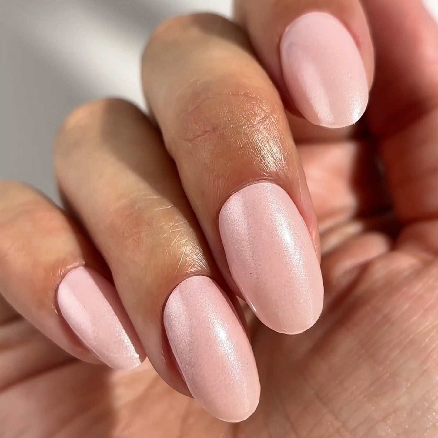 Mylee Gel Nail Wraps - On Campus