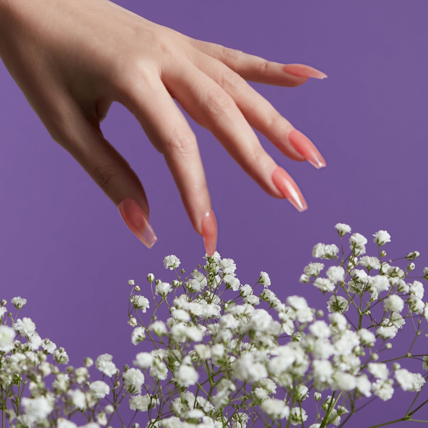 Mylee 5 in 1 Builder Gel French Rose 15ml (T)