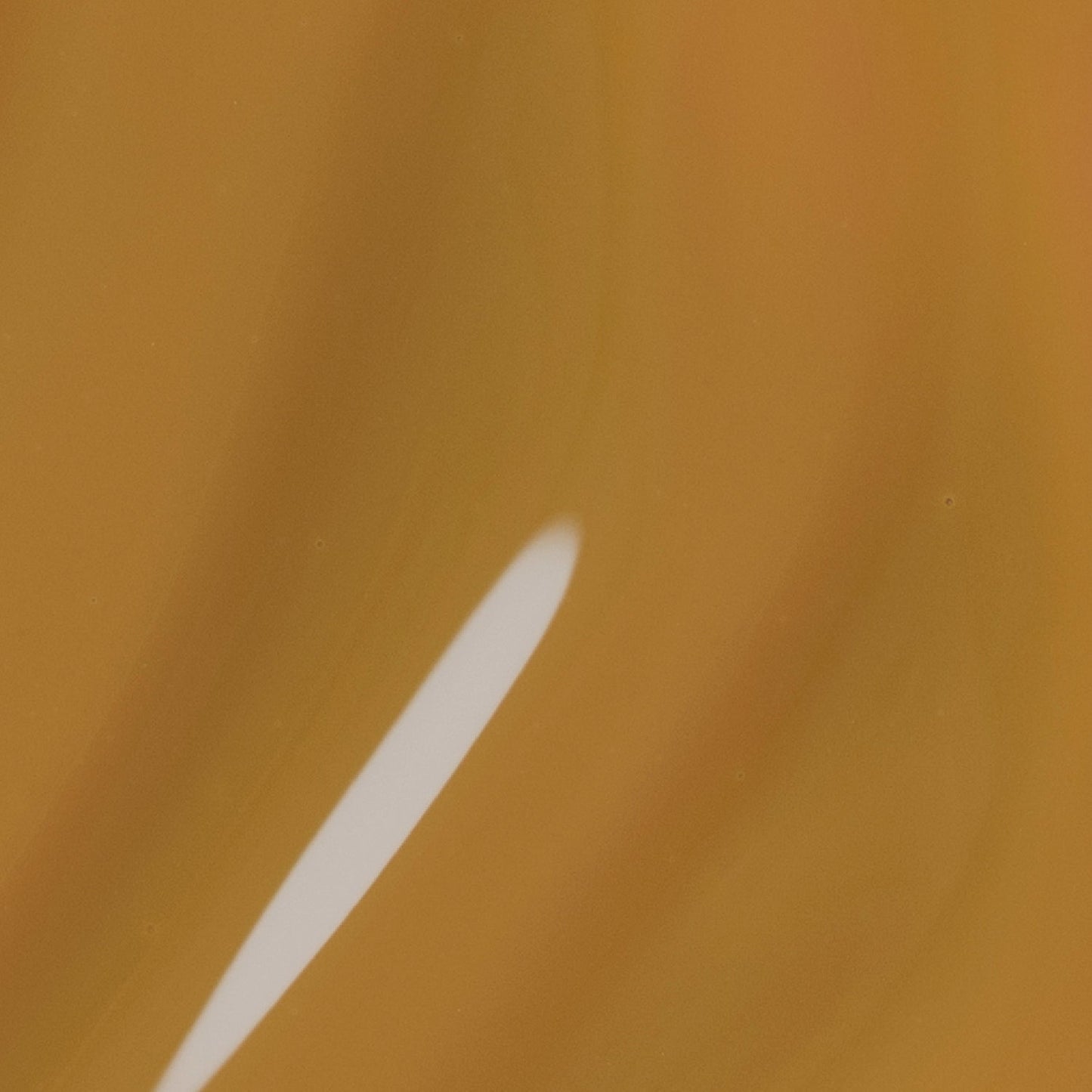 Mylee Pumpkin Spice Gel Polish Quad - 4x10ml